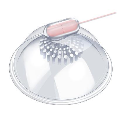 乳房按摩器遥控充电款 强震挠乳 吸乳调情 